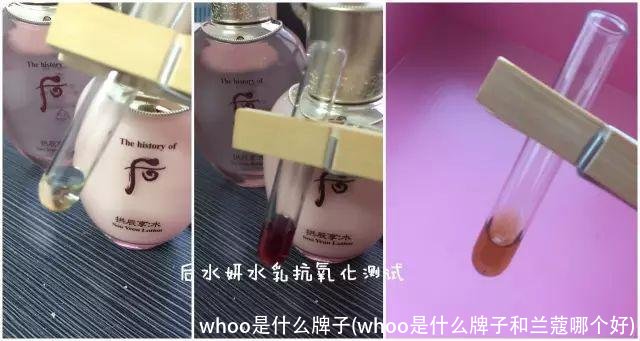 whoo是什么牌子(whoo是什么牌子和兰蔻哪个好)