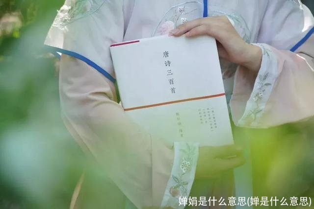 婵娟是什么意思(婵是什么意思)