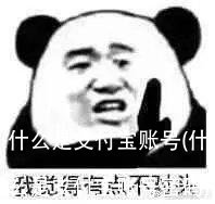 什么是支付宝账号(什么是支付宝账号密码)